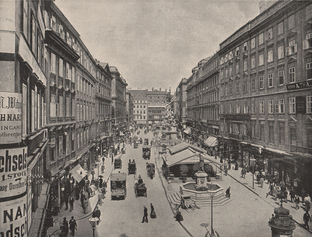 VIENNA. The Graben. Austria 1895 old antique vintage print picture